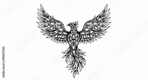 Detailed Black and White Phoenix Bird Illustration with Spread Wings.