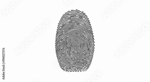 Detailed fingerprint pattern isolated on a white background for identification.