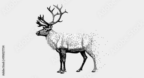 Detailed illustration of a majestic reindeer with large antlers.