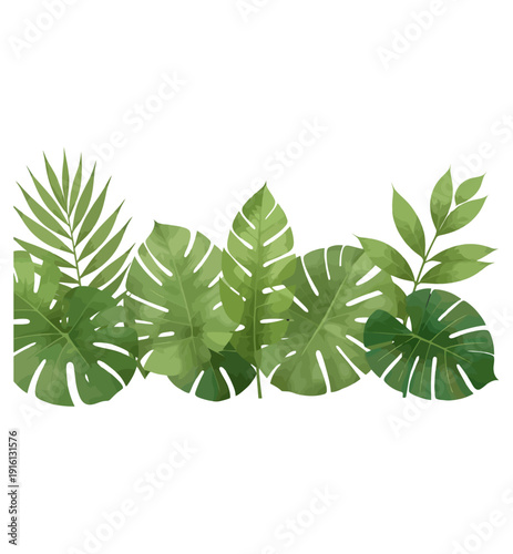 green leaves on a white background