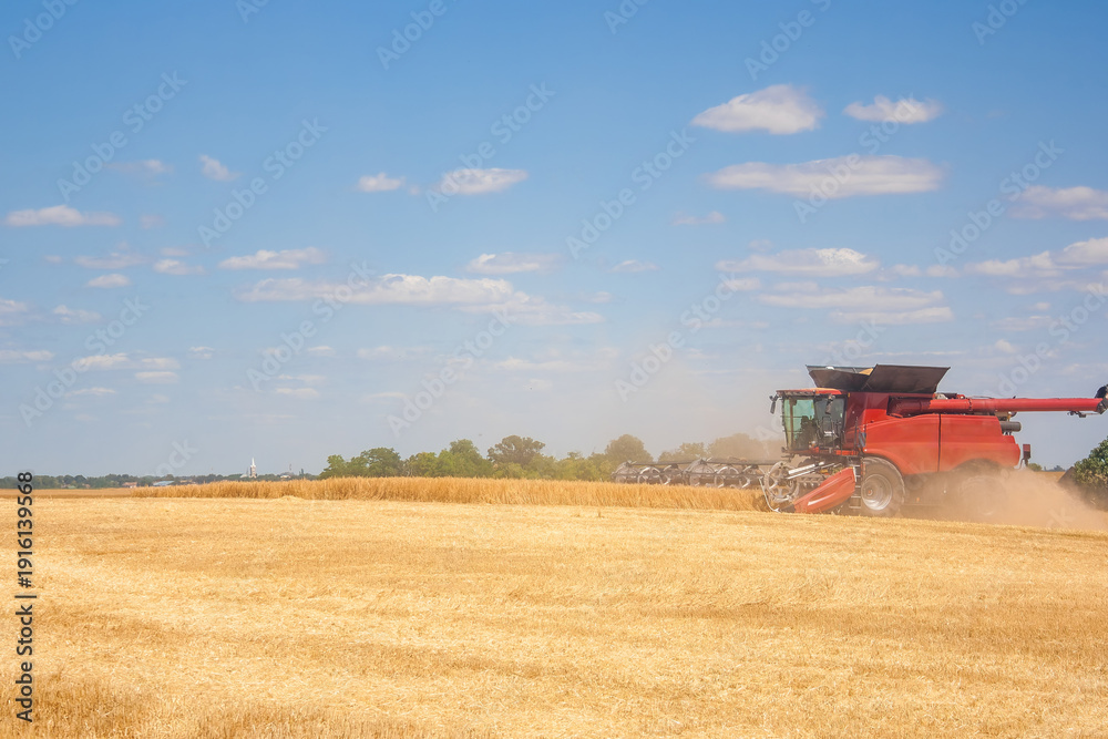 Obraz premium A red combine harvester operates in a golden wheat field under a clear blue sky. Dust rises as it harvests the ripe crops.