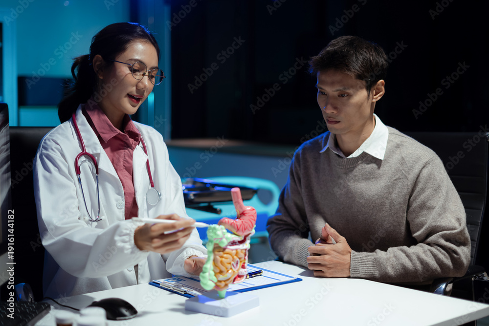 Fototapeta premium doctor shows a model of how the intestines system works, doctors explaining symptoms and treatment to patients.