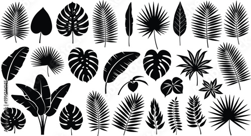 Collection of black silhouette tropical palm leaves on white background palm leaf tropical leaf