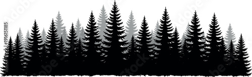 Minimalist conifer forest silhouette, layered pine trees, black and white vector landscape, evergreen woodland illustration, nature background, wilderness design, scenery art