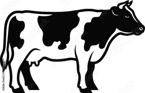Vector illustration of a black and white Holstein Friesian dairy cow in profile view, a popular breed known for milk production and distinctive markings