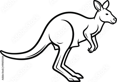 An outline illustration of a kangaroo in motion, showcasing its iconic hopping stance and powerful build