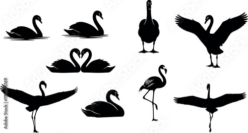 Swan flamingo silhouettes vector, bird illustration, wildlife artwork, black and white design, nature background, elegant animal art, decorative scenery