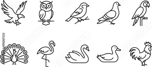Bird Outline Icon Set Featuring Peacock Flamingo Swan Duck Rooster Owl Sparrow Parrot Minimal Line Art Collection for Wildlife Nature Ornithology and Graphic Design Use
