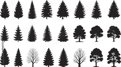 Collection of Various Tree Silhouettes Including Evergreen Pine Fir Spruce and Deciduous Leafy Trees Isolated on a Plain White Background Set (21 words)