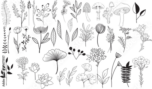 Hand drawn floral vector illustration pack, lineart floral vector elements
