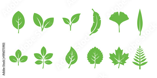 Leaf sprout icon vector set, green leaves plant eco logo symbol simple graphic illustration set, vegan fresh herb pictogram shape sign, organic natural healthy logotype