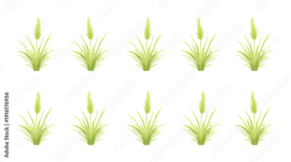 Fototapeta premium Green grass blades isolated on white background
