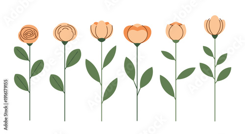 A delightful graphic illustration featuring a collection of simple peach flowers, each representing a distinct stage of the blooming cycle.