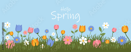 Spring or summer sale templates with beautiful blossom flower nature. set of cards with cute meadow flowers. Floral tropical for holiday  poster, invitation, social media post, Mother's Day, Easter.