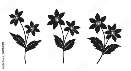 Set of three elegant black and white stylized floral illustrations, each with two five-petal flowers, intricate white centers, and accompanying leaves.