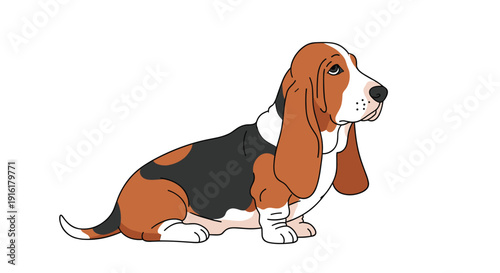 A charming cartoon illustration of a tricolor Basset Hound with long floppy ears, sitting patiently and looking upwards on a white background.