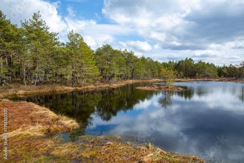 View of Estonian vernal wetland landscape with bog pond