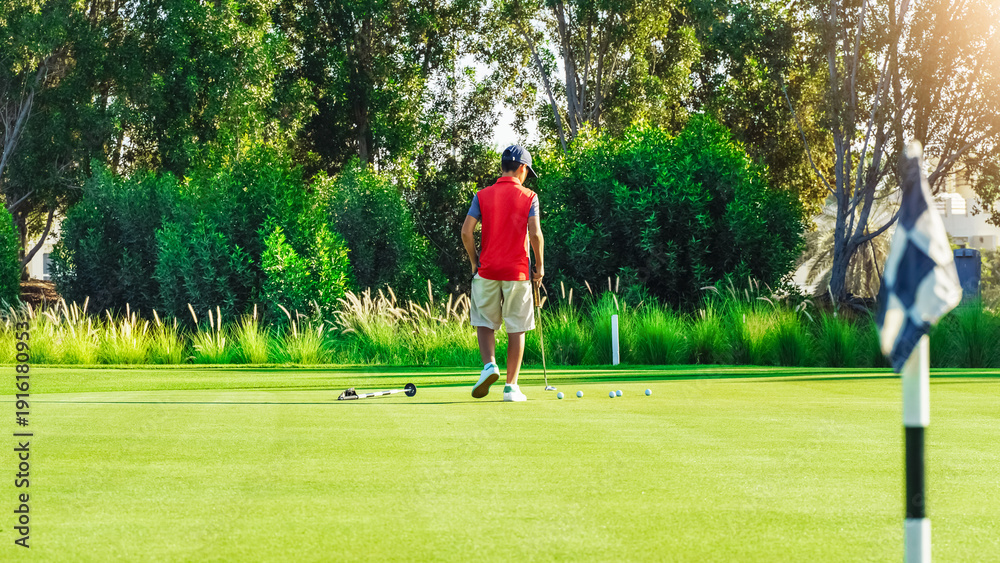 Obraz premium Golf player practices putting on a green surface at a golf course near trees and bushes