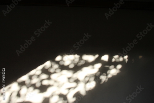 Minimal geometric sunlight with soft plant shadow on dark background, ideal for skincare branding, interior design, editorial layouts, and modern lifestyle campaigns.