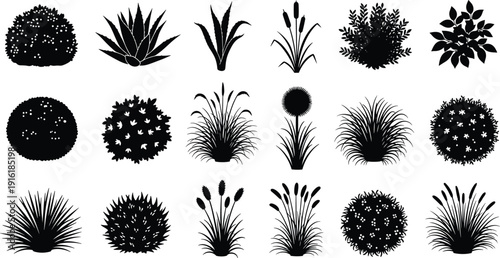Ornamental garden plant silhouettes set, flat vector illustration, botanical shrubs and grasses collection, decorative foliage elements, isolated nature clipart