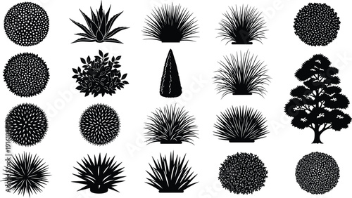 Ornamental garden plants silhouettes set, flat vector illustration, topiary shrubs and grasses collection, decorative botanical foliage, isolated nature clipart