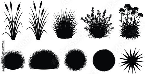 Ornamental grass and shrub silhouettes collection, flat vector illustration, botanical garden plants set, decorative foliage elements, isolated nature clipart