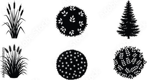 Ornamental shrub and grass silhouettes set, flat vector illustration, botanical garden plants, conifer tree elements, isolated nature clipart