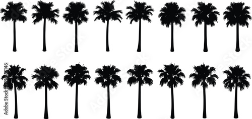 Palm tree silhouettes collection, flat vector illustration, tropical coconut palms set, island nature clipart, black botanical design elements, isolated