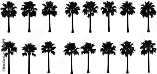 Tropical palm tree silhouettes set, flat vector illustration, exotic island foliage collection, black botanical clipart, beach nature design elements