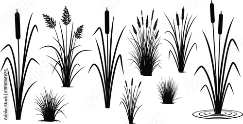 Wetland cattail plant silhouettes set, flat vector illustration, marsh reeds collection, aquatic grass icons, nature clipart elements, isolated design