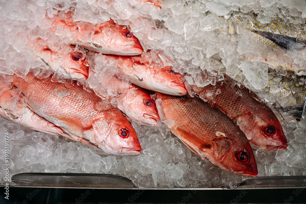 Φωτογραφία Red snapper fish displayed on crushed ice