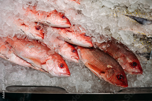 Photos Red snapper fish displayed on crushed ice