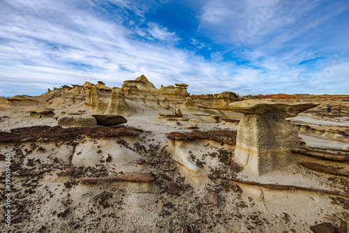 Billede på lærred Scenic view of dark, mushroom-shaped hoodoos known as the Chocolate Hoodoos, showing the distinct sedimentary layers of shale and mudstone in the Bisti Wilderness