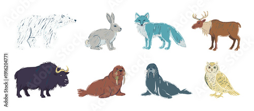 A collection of eight arctic animals including a polar bear, arctic hare, arctic fox, reindeer, musk ox, walrus, seal, and snowy owl.
