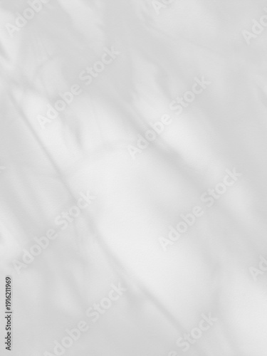 White cement wall background with natural leaf shadow overlay for graphic design