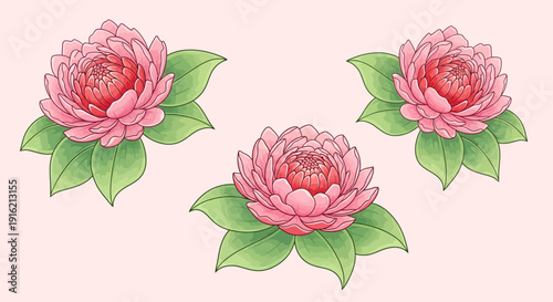 Three pink flowers with green leaves arranged in a triangular pattern on a soft background viewed from directly above
