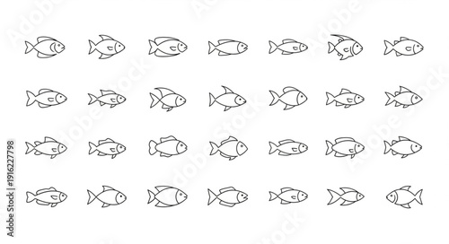 Collection of Hand Drawn Fish Illustrations in Outline Style.