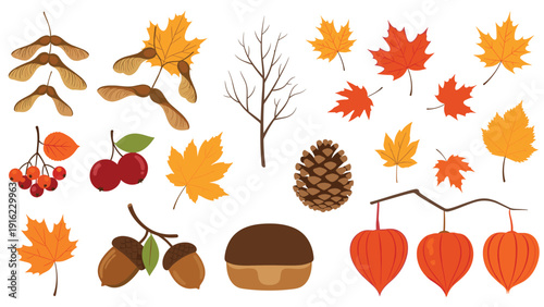 Charming collection of colorful autumn elements like maple leaves, acorns, berries, and pinecones on a white background.