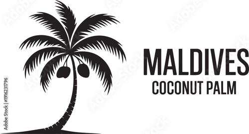 Maldives coconut palm tree tropical island plant symbol exotic travel vacation