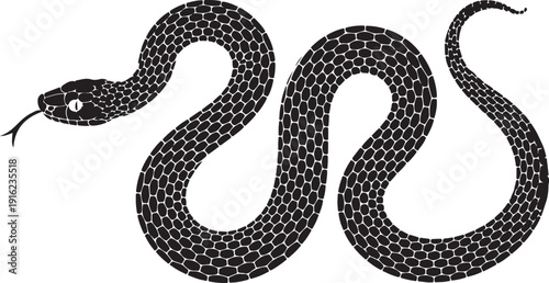 Vector elongated snake silhouette illustration. Black serpent isolated tattoo design.