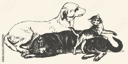 Vintage illustration of a relaxed dog and two cats cuddling together, showing friendship and companionship in a black and white sketch style.