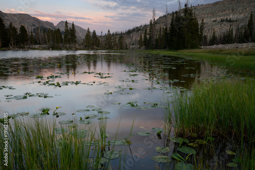 Twilight reflections and lily pads on a lake in the Uintas.