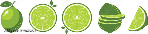 Fresh Lime Whole and Sliced Citrus Fruit Set with Green Lemon Vector Illustration Collection