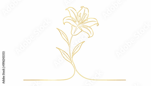 Elegant Golden Lily Flower Line Art, Minimalist Botanical Illustration