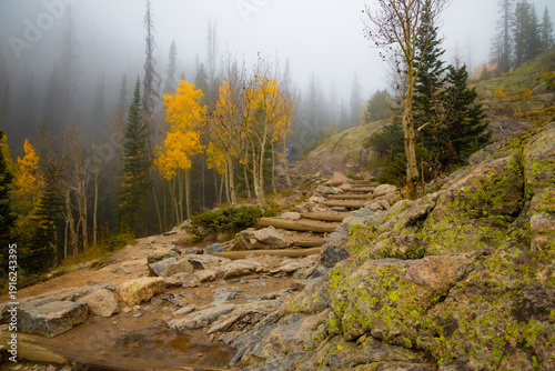 Bild auf Leinwand Stone steps wind through a misty mountain landscape adorned with vibrant golden aspen trees and evergreen forest during fall foliage season in Rocky Mountain National Park, Colorado