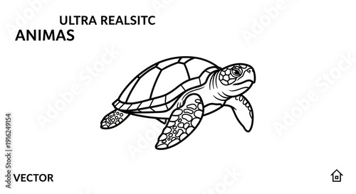 Vector illustration of a sea turtle, line art, black and white, isolated on white background