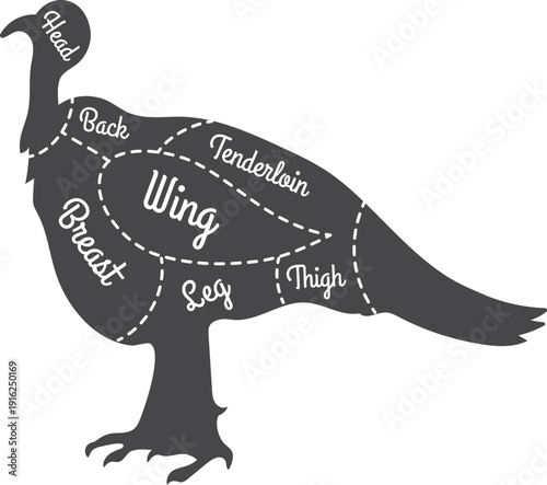 Turkey butcher diagram. Meat store cut chart
