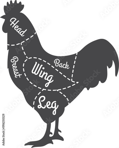 Poultry meat guide. Butcher diagram in rooster silhouette