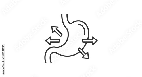 Stomach Digestion and Nutrient Absorption Icon: Gastric Function and Metabolism