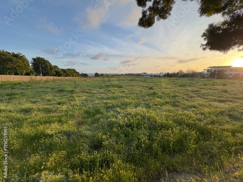 Foto A 7-acre vacant lot in Carlsbad, California, slated for the development of 111 new townhomes